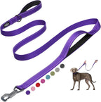 Fida 6 FT Heavy Duty Dog Leash with 2 Comfortable Padded Handles, Traffic Handle & Advanced Easy Snap Hook, Reflective Walking Lead for Large, Medium & Small Breed Dogs, Purple
