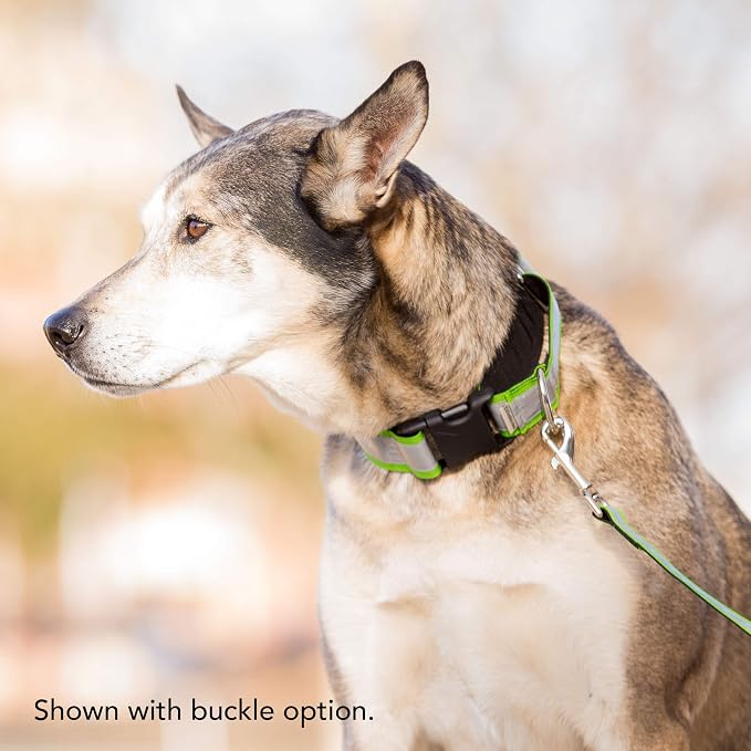 If It Barks - 1.5" Reflective Martingale Collar for Dogs - Adjustable - Made in USA - Strong, Durable, and Comfy - Ideal for Training - Suitable for Most Breeds - Medium, Navy