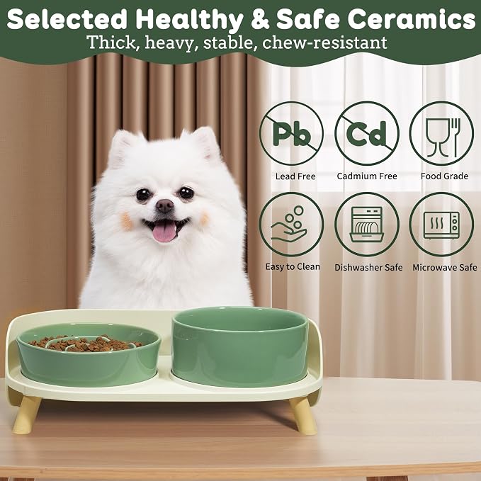 Elevated Slow Feeder Dog Bowls with Splash Proof Stand, Slow Eating 5X | 6.5″ Dog Slow Feeding Bowls & 6.1″ Dog Food Dish, Non-Slip Raised Food and Water Bowl Set for Small and Medium Breeds, Green