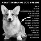 Pride and Groom The Shedder Box Set – Deshedding Dog Shampoo & Conditioner with All Natural Blend of Essential Oils & Ingredients to Moisturize & Untangle Curly and Wavy Coats – 32oz