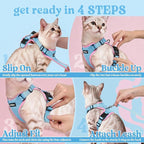 rabbitgoo Cat Harness and Leash Set, Escape Proof Vest, Light Blue & Pink | Soft Breathable Mesh, Easy Adjustable Fit, Snap Buckles, Sturdy Clip, Reflective Strips, for Average Cats Walks, S