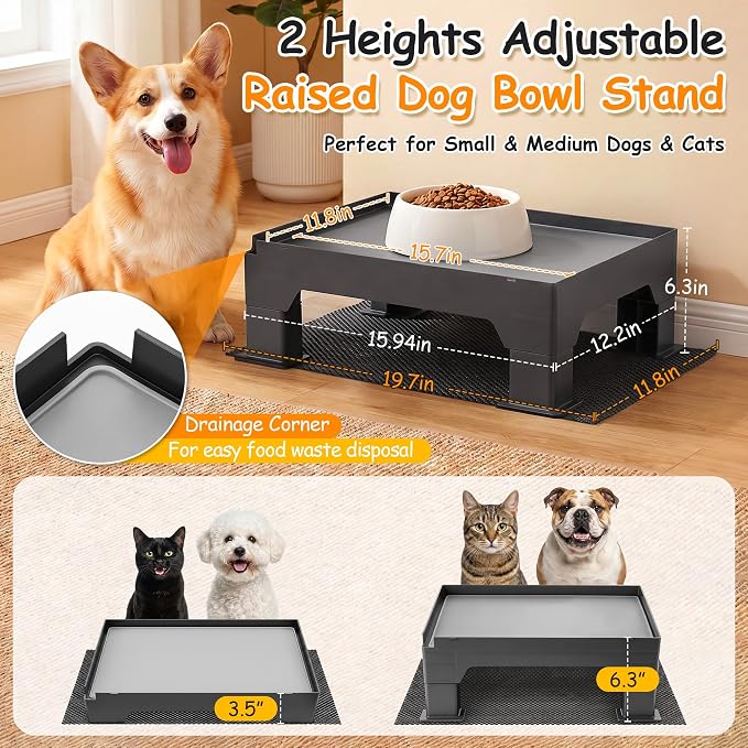 Elevated Dog Bowl Stand and Waterproof Non Slip Mat,2 Set,No Absorbent Pad | Reduce Neck, Joint and Spinal Strain, Sturdy Legs, Easy Clean Silicone Pet Food Mat, For Small & Medium Dogs, Cats