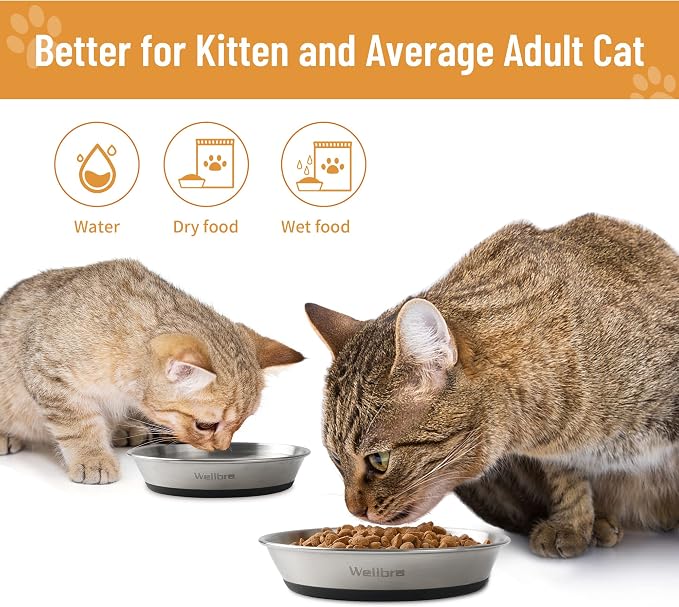 Cat Bowls, 6 Pcs Stainless Steel Bowls for Food and Water, Whisker Fatigue Shallow Non-Slip Cat Dishes Plates for Small Dog Puppies Cats