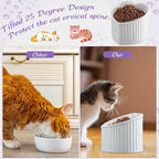 Mumufy 2 Pcs Ceramic Elevated Cat Bowls Tilted Elevated Raised Pet Bowls Anti Vomit Cat Dish for Indoor Stress Free Water Dish Feeder for Puppies, Heart Shaped(White, Purple)