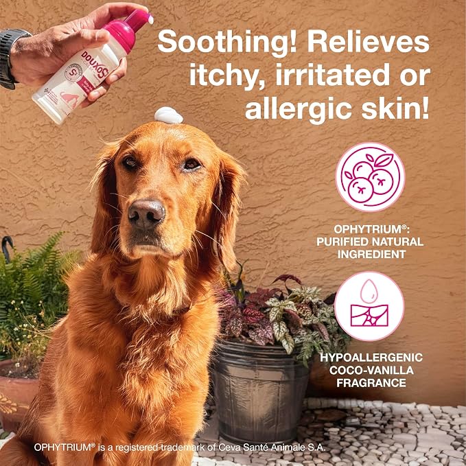 Douxo S3 Calm Itch Soothing Mousse for Dogs & Cats | Helps Support Itchy, Irritated or Allergic Skin, Soothing Dog Skin Allergies - Itch Relief for Dogs, 5 fl oz
