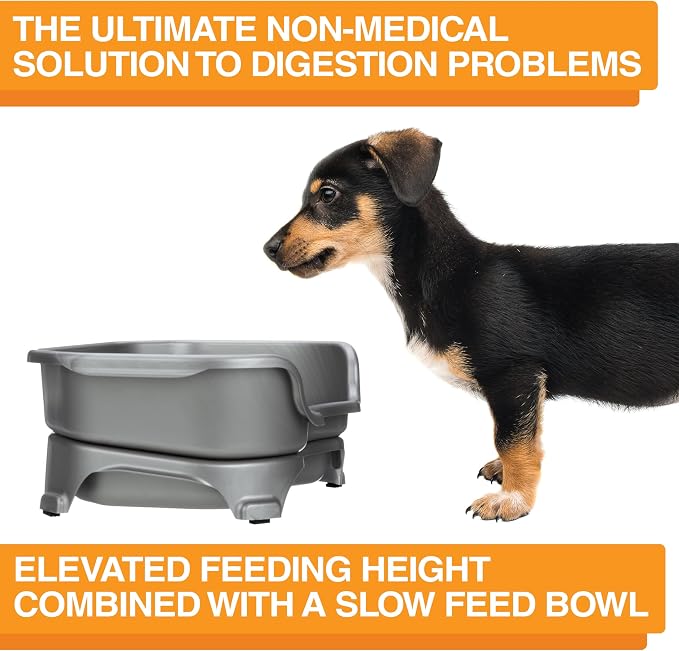 Neater Feeder Express Mess Proof Dog Bowls Elevated for Small Breed – Made in USA – No Spill Raised Slow Feeder Elevated Dog Bowl Stand, Stainless Steel Food and Water Bowl Set, Grey