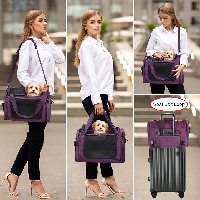 EliteField Deluxe Soft Pet Carrier for Cats and Dogs (3-Year Warranty) | Airline Approved, Waterproof Fabric, Scratch-Resistant Mesh, Expandable Mat, Built-In Leash, Suitcase Sleeve, Seat Belt Loops