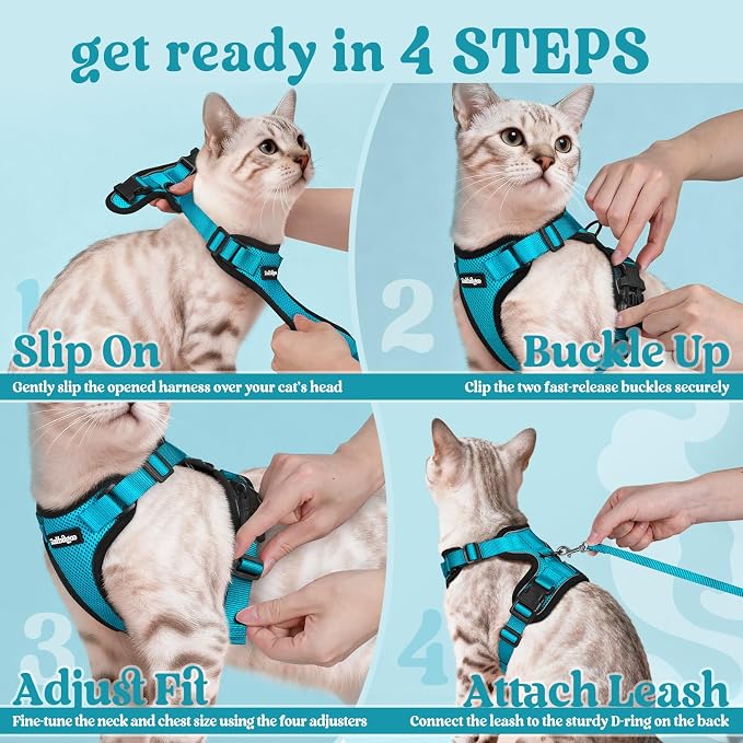 rabbitgoo Cat Harness and Leash Set, Escape Proof Vest, Teal | Soft Breathable Mesh, Easy Adjustable Fit, Snap Buckles, Sturdy Clip, Reflective Strips, for Kittens & Small Cats Walks, Xxs