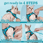 rabbitgoo Cat Harness and Leash Set, Escape Proof Vest, Teal | Soft Breathable Mesh, Easy Adjustable Fit, Snap Buckles, Sturdy Clip, Reflective Strips, for Average Cats Walks, S