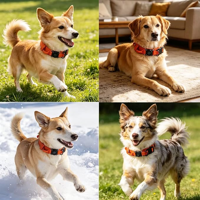 AirTag Dog Collar for Large Dogs Tactical Dog Collar with AirTag Holder | Upgrade Waterproof,Control Handle,Quick-Release Metal Buckle,1000D Nylon Fabric,Soft-Padded Webbing,Velcro Patch(Orange,XXL)