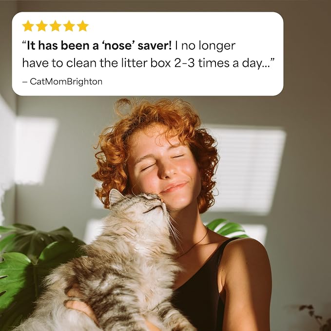 Fresh Step Advanced Ever Fresh Multi Cat Clumping Litter with Febreze Freshness, Ammonia Block Technology, Ultra Absorbent, 16 lb. Box, Pack of 2 | Ultra Absorbent to Last Longer, Scented with Febreze Freshness, Lowest Dust Formula, Compatible with Mos...