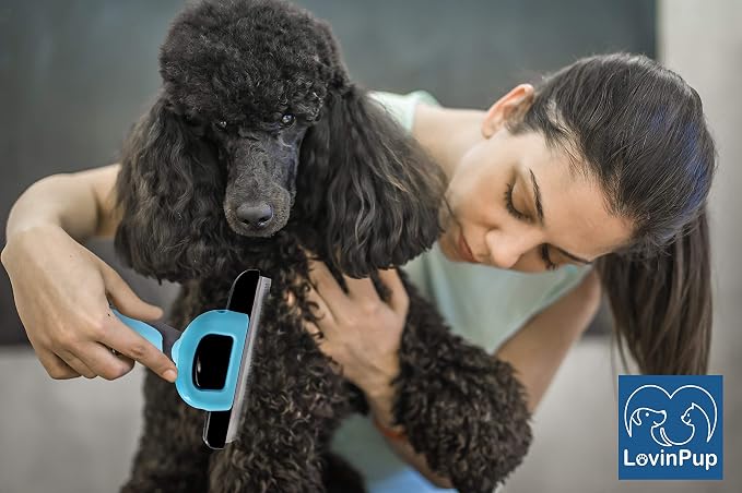 Cat & Dog Brush for Shedding – Deshedding Tools for Pets | 95% Shedding Reduction for Cleaner Homes – Removable Stainless Steel Comb with Comfort Grip Handle for Pets with Dense Coats