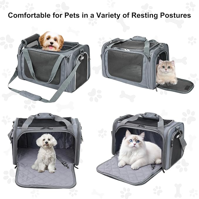 EliteField Deluxe Soft Pet Carrier for Cats and Dogs (3-Year Warranty) | Airline Approved, Waterproof Fabric, Scratch-Resistant Mesh, Expandable Mat, Built-In Leash, Suitcase Sleeve, Seat Belt Loops