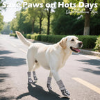 EXPAWLORER Dog Socks to Prevent Licking and Slipping, Summer Dog Shoes for Hot Pavement, Paw Protectors for Hardwood Floors Anti-Slip, Dog Booties for Small Medium Large Senior Dogs, Black Grey XS