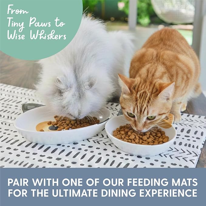 The Cat Ladies Ceramic Cat Bowls - Whisker Friendly Food Bowl - Cute Pet, Kitten Plates - Dishes for Indoor Cats - Dish for Wet Food & Water - Platos para Gatos - Calico, Small