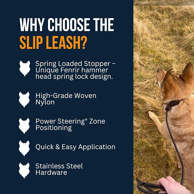 Fenrir Slip Leash 1.4m Professional Dog Training Lead to Stop Pulling, Perfect for Walks, Easy to Use, Spring Loaded Stopper, Light Weight and Durable (Red)