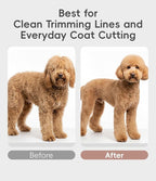 7'' Professional Dog Grooming Scissors Set Rose Gold 440C Stainless Steel Straight Thinning Curved Chunker Shears 4pcs Set for Pet Grooming Services Dogs and Cats