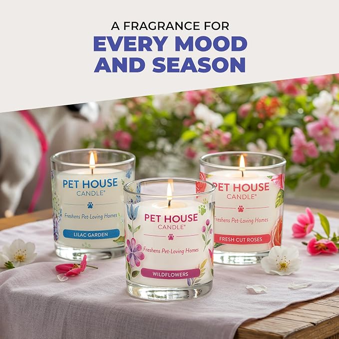 Pet House Candles, Natural Soy-Based, Clean Burning Pet Friendly Candles, 60 Hour Burn Time - Wild Blueberries, 9 oz
