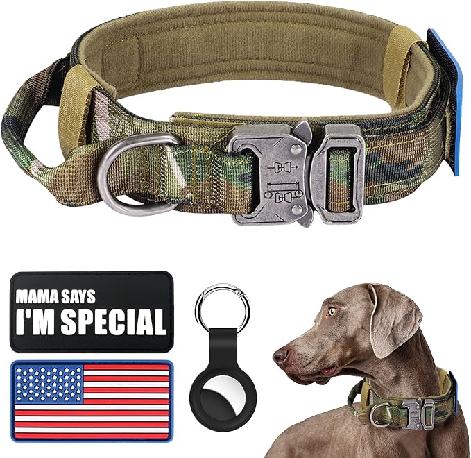 Tactical Nylon Collar - Heavy Duty Metal Buckle with Handle for Dog Training, with Patches (Camo, M)