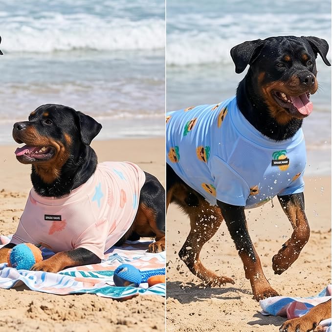 Spark Paws Sunblock Dog T-Shirt, SPF30 Protection, Lightweight Breathable Quick Dry for Dogs with Sensitive Skin - Pineapple & Seashells (Set of 2) - Size 2XL