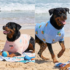 Spark Paws Sunblock Dog T-Shirt, SPF30 Protection, Lightweight Breathable Quick Dry for Dogs with Sensitive Skin - Pineapple & Seashells (Set of 2) - Size 5XL