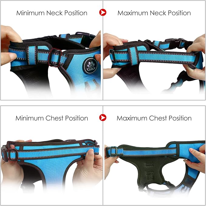 NESTROAD No Pull Dog Harness,Adjustable Oxford Dog Vest Harness with Leash,Reflective No-Choke Pet Harness with Easy Control Soft Handle for Small Dogs(X-Small,Blue)