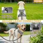 BEAUTYZOO No Pull Dog Harness Large, Adjustable Dog Harness and Leash Set -Easy Wearing with 3 Buckles/Control Handle,No Choke Soft Padded Reflective Pet Vest for Training Walking Hiking,Grey M