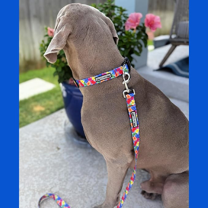Lucky Love Dog - Easy Click Buckle Dog Collar with Leash Set Combo, Durable & Comfortable for Male & Female Dogs, Pet Collar for Small Dogs, Secure Fit - Hana Combo, Small
