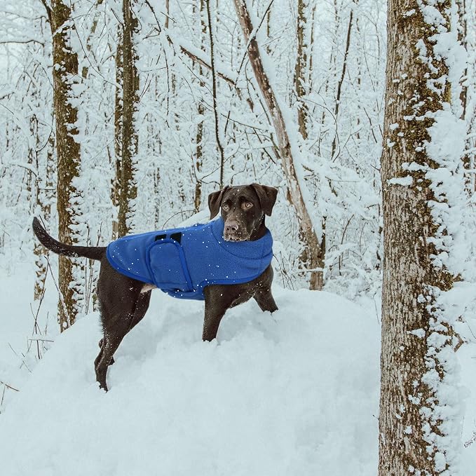 Queenmore Soft Fleece Dog Jacket, Warm Winter Coats with Leash Hole, Dachshund Sweaters for Small Dogs Cats Boy or Girl (Blue, L)