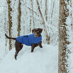 Queenmore Medium Dog Sweater, Soft Fleece Vest Pullover Dog Jacket with Leash Hole, Warm Winter Dog Clothes Cold Weather Doggy Dachshund Sweaters for Medium Dogs Cats Boy or Girl (Blue,M)