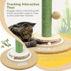 Globlzer 30in Cactus Cat Scratching Post for Indoor Cats, SC30, Green | Stable Cat Scratcher for Kitten Adult Cats, Durable Sisal Rope, Interactive Solid Wood Ball Game, Dangling Ball Toy