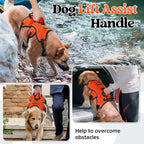 rabbitgoo Escape Proof Dog Harness for Large, No Pull with Lift Handle | No Escape, Full Soft Padded, Reflective Adjustable Vest, Leash Clip for Walking Hiking Training, Orange, Large