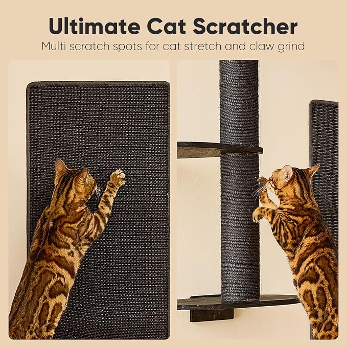 FUKUMARU Cat Wall Shelves, 4 in 1 Set, Black | Stable Wooden Wall-Mounted Furniture Set, Climbing Tree with Hammock, Bed, Perch and Scratching Mat
