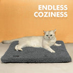 Self Warming Cat Bed Self Heating Cat Dog Mat Pad 29 x 18.9 in Extra Warm | Non Electric, Self Heated Cat Bed for Indoor Outdoor Pets, Removable Washable Cover, Non-Slip Bottom, Noiseless, Dark Grey