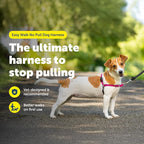 PetSafe Easy Walk No-Pull Dog Harness - Ultimate Harness to Help Stop Pulling - Pull-Free Walks - Take Control & Teach Better Leash Manners - Patented Martingale Loop Design - Raspberry, Small