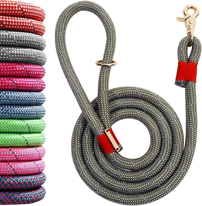 Nylon Rope Dog Leash, Silver Grey, 5 FT - 3/5" | Reflective, Handmade Braided, Heavy Duty, For Medium Large Dogs