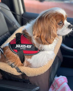 ROODO Dog Car Booster Seat with Safety Leash and Foldable Metal Frame for Small Pets up to 20 lbs Height-Adjustable Portable Puppy/Cat Car Seats with Plush Thick Cushion Mesh Window(Khaki)