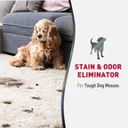 Nature’s Miracle Advanced Dog Stain & Odor Eliminator Foam, 17.5 oz (6 Pk) | Enzymatic Cleaner Eliminates the Toughest Dog Messes, Foam Penetrates Into the Carpet, Safe For Pets and Home*, Fresh Scent
