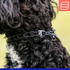 Herm Sprenger Micro Prong Collar for Dog Training | 1.5mm Black Stainless Steel Ultra-Plus Training Collar for Small Dogs German Made - Max Neck Size 9.5" (Black Stainless Steel, 12in (30cm) x 1.5mm)