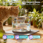 Glass Cat Water Fountain 70oz Dishwasher Safe Pet & Dog Fountain | Automatic 2.1L drinking water dispenser,Easy to Clean Glass Bowl,Ultra Quiet Pump,3-Stage Filtration for indoor Cats & Dogs