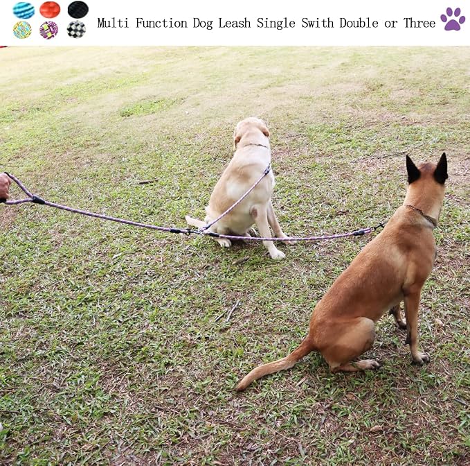 3 Dog Leash - Padded Handle, 360° Swivel Multiple Dog Leash No Tangle, Lead for Medium Large Dogs, Walking & Training Double Dogs (Purple Green)