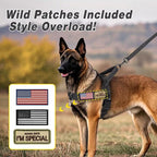 Forestpaw No Pull Dog Harness with Large Handle,Comfortable,L,Black | Adjustable Fits Chest 26-31",50-80 lbs,Slip On,Quick Release,Easy Control,Soft Padded,for Medium Large Dogs Walking Training