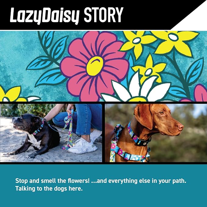 Wolfgang Heavy Duty Dog Leash, Pull-Tested for Walking & Training, LazyDaisy Print, Small