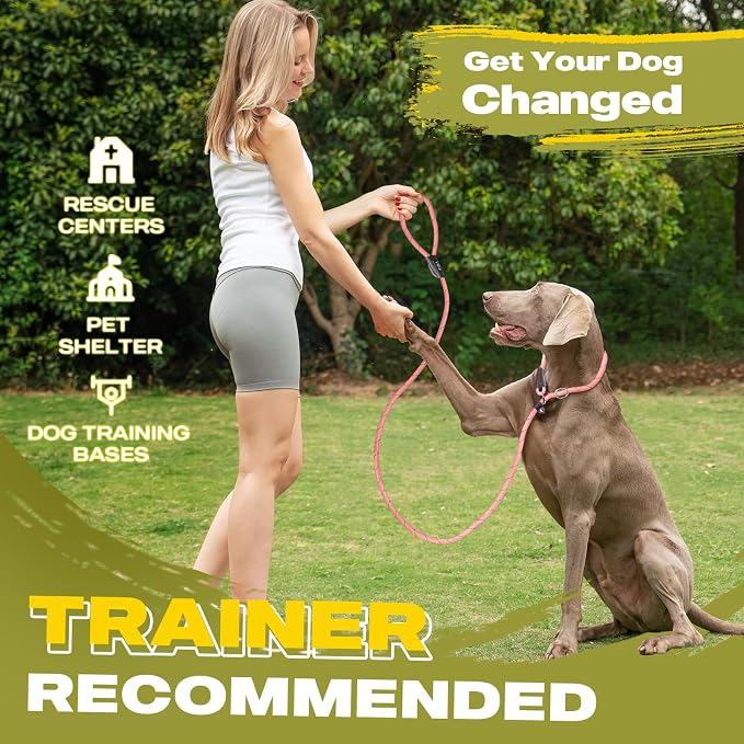 Fida Durable Slip Leads for Dogs, 6 FT x 3/8" Heavy Duty Dog Loop Leashes, Comfortable Strong Rope Slip Leash for Small Dogs and Puppies, No Pull Pet Training Lead with Highly Reflective(3/8", Pink)