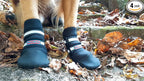 All Weather Neoprene Paw Protector Dog Boots with Reflective Straps in 5 Sizes! (Black XL)