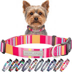 Lucky Love Dog - Adjustable Dog Collar with Easy Click Buckle for Small Ones, Durable, & Comfortable for Male & Female Dogs, Pet Collar for Puppies & Adult Dogs - Molly, XS