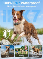 3300ft Dog Shock Collar with Remote Control, IPX7 - Pink | 4 Training Modes, Security Lock, Extremely Long Battery Life, Waterproof, Rechargeable E-Collar for Small Medium Large Dogs