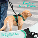 rabbitgoo Dog Harness, No Pull Medium Sized with 2 Leash Clips, Pet Vest | No Choke with Handle, Adjustable Soft Padded, Reflective, Easy Control for Walking, Black & Turquoise, Medium