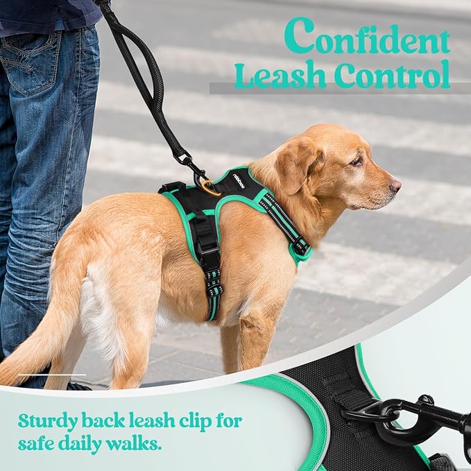 rabbitgoo Dog Harness, No Pull Medium Sized with 2 Leash Clips, Pet Vest | No Choke with Handle, Adjustable Soft Padded, Reflective, Easy Control for Walking, Black & Turquoise, Medium