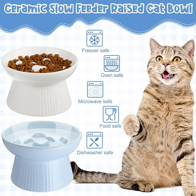 Tioncy 2 Pcs Ceramic Elevated Slow Feeder Cat Bowl, Raised Cat Slow Feeder Bowl, Anti Vomiting for Dry and Wet Food, No Spill High Edge Easy Clean Dishwasher Safe (White,Blue)